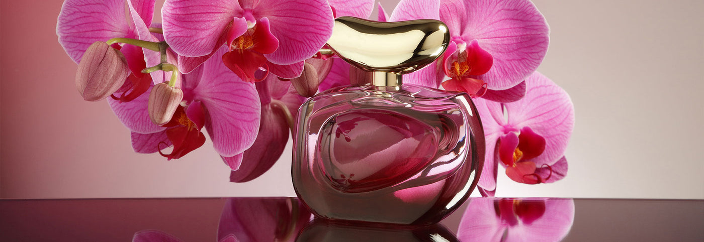 Women's Fragrance