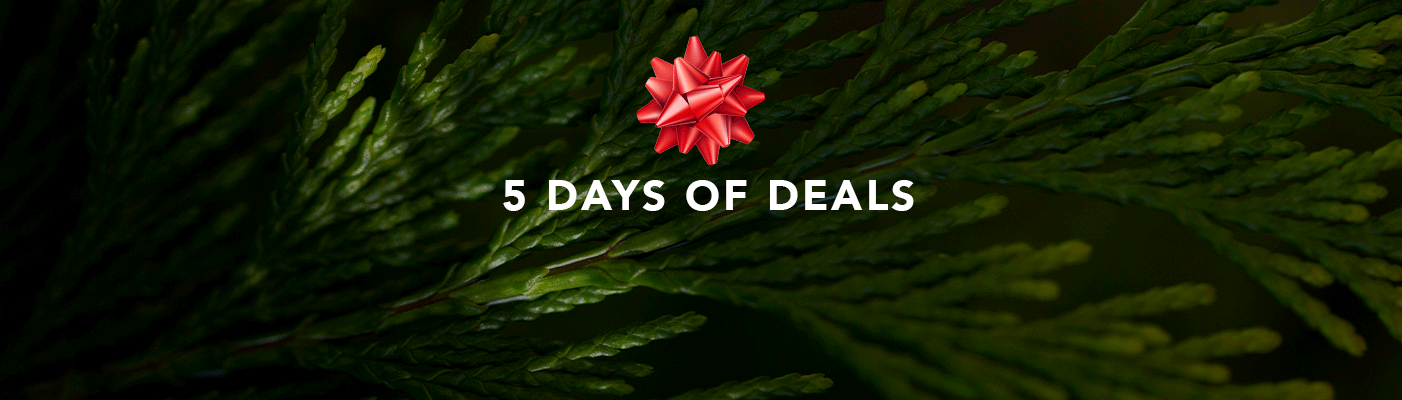 Excludes Final Sale, Route, Membership, Insurance, Gift Card