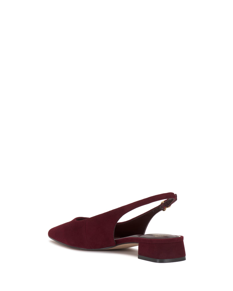 Maroon pointed-toe Vince Camuto Valiey Mule with a low block heel.