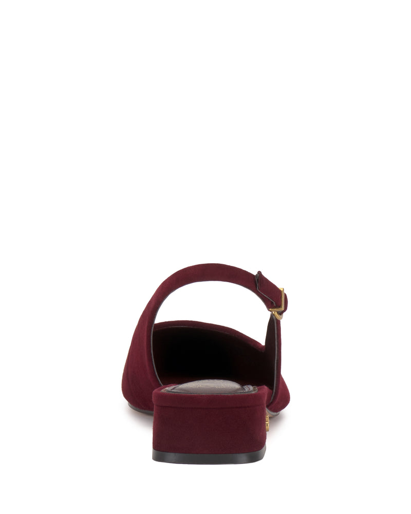 Vince Camuto Valiey Mule in burgundy suede, featuring a pointed-toe, slingback design, low block heel, and a gold-toned buckle.