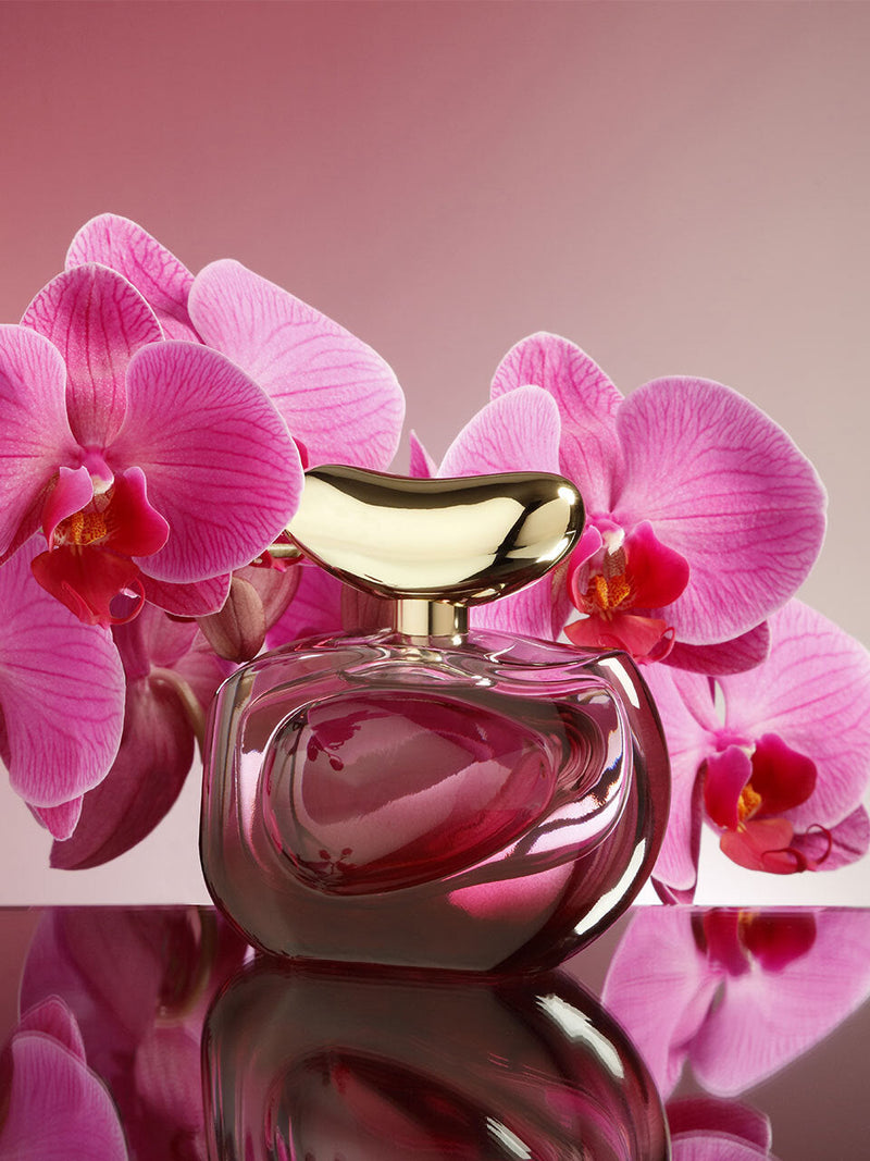 Illuminare Intensa 3.4 oz Eau de Parfum Spray - 3.4 oz - Vince Camuto